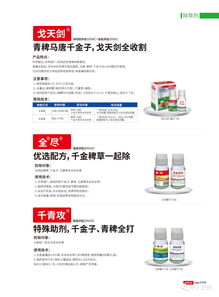 2020 让稀缺产品资源走进千家万户