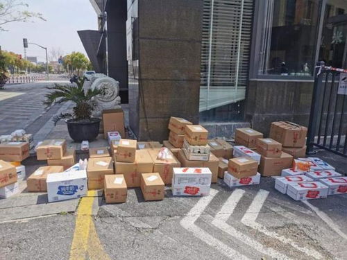 7000多箱德亚牛奶送达佘山镇 品渥食品助力社区营养保障